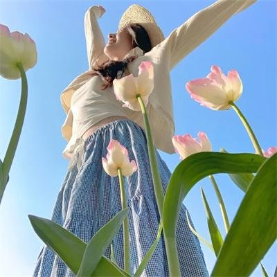 贵族精英